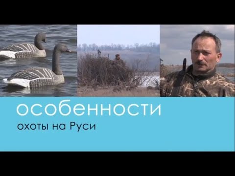 Видео: Охота на Гуся на разливах - Беляков Хантинг