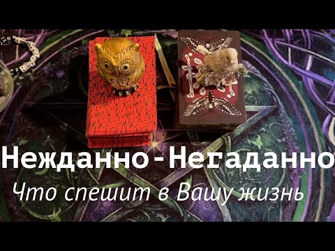 Видео: ЧТО СЛУЧИТСЯ НЕЖДАННО_ НЕГАДАННО🔔🔔 Любовь? Семья? Работа✅ КартыТаро/Гадание онлайн