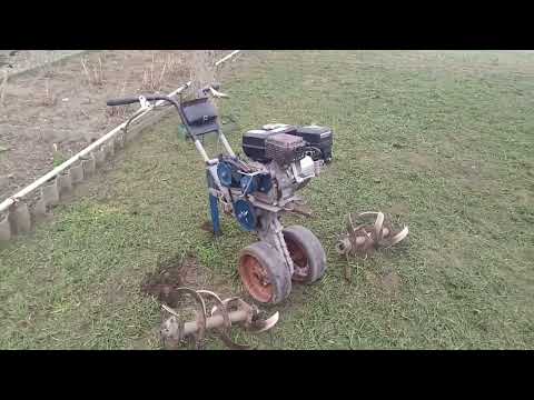 Видео: Весенняя заделка сидерата 2023 г.