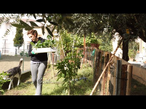 Видео: Уютные осенние дни | Готовим хорошую осеннюю еду | Влоги