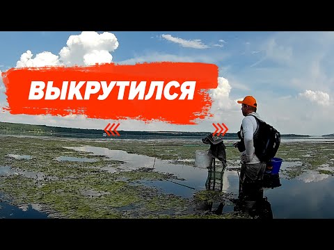 Видео: Поплавок на большой реке