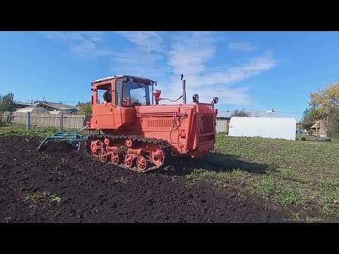 Видео: ДТ-75 Осенняя вспашка огорода.