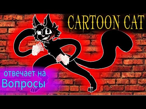 Видео: .•°ОТВЕТ - ВОПРОС°•.                                   |Cartoon cat  отвечает на вопросы|