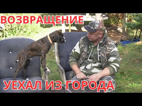 Видео: Вдохновил АНТОХА.Купил хутр на болоте и уехал из города.