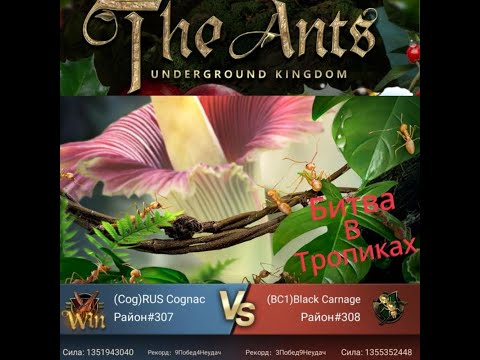 Видео: Битва в Тропиках 307vs308 Победа в игре The Ants Underground Kingdom