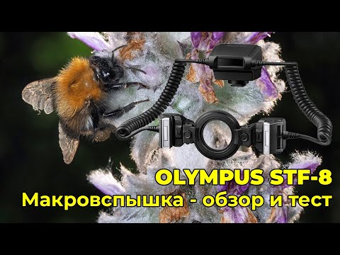 Видео: Olympus STF-8 - обзор макровспышки