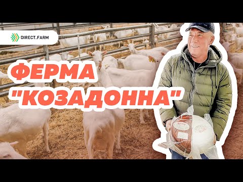 Видео: Молочная ферма "КозаДонна". Зааненская порода коз