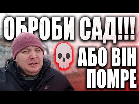 Видео: ОБРОБИ САД – АБО ВІН ПОМРЕ! 💀 ГОЛОВНІ ПОМИЛКИ, ЯКІ ЗНИЩУЮТЬ ДЕРЕВА. КУПИЛИ ХАТУ У СЕЛІ