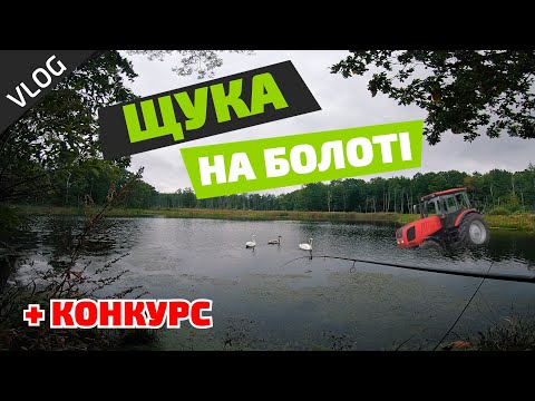 Видео: ЩУКА на БОЛОТІ. Батл з НАЗАРОМ БОЖЕНКО. UPSTREAM Fusion vs Swirl + КОНКУРС | Vlog UPSTREAM