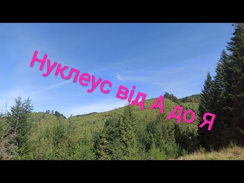 Видео: Дешевий нуклеус  із сендвіч панелі від А до Я, на чотири маткомісця.