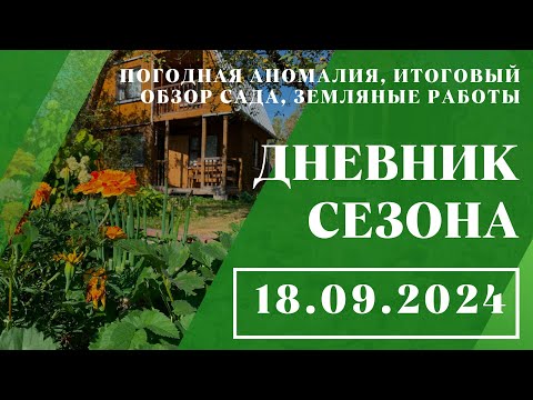 Видео: Погодная аномалия, итоговый обзор сада, земляные работы // 18.09.2024