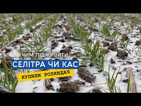 Видео: Коли краще підживити Аміачною селітрою, а коли КАС. Купили новий розкидач AMAZONE