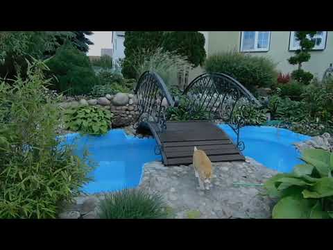 Видео: Продолжаем прогулку по саду Людмилы.Маленькая хозяйка большого сада.