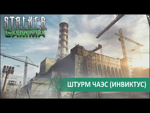 Видео: ⚡ Bitochek : Будет сложно, главное не КЛЮНУТЬ [ СТАЛКЕР ГАММА ]