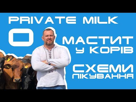 Видео: Мастит у корів. Схеми лікування. | Private Milk | Травецький