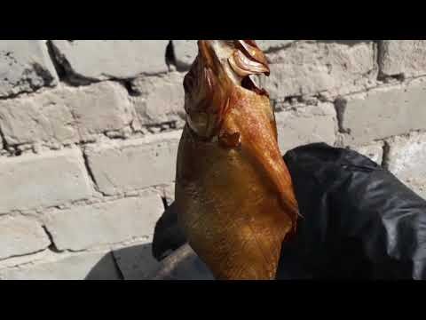 Видео: Кызылорда. Рыбалка. Балык туздау. Балык кептіру. Копчёная рыба в домашних условиях. Как коптить рыбу