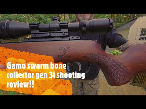 Видео: Обзор стрельбы Gamo Swarm Bone Collector 10X Gen 3i!! #gamo #gamoswarmbonecollector #gamoswarm