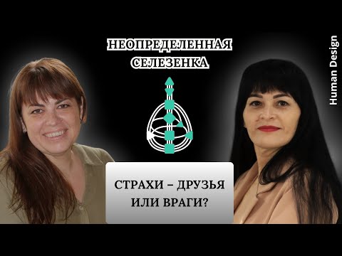 Видео: Неопределенная Селезенка. Страхи – друзья или враги?