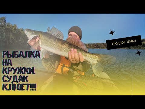 Видео: Рыбалка НА КРУЖКИ. Вдвоем в ЛОДКЕ. ЖОР СУДАКА НАЧАЛСЯ?