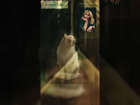 Видео: Жизненная сила, которую скрывает человек #Архетипы #Дуракввыиграше #самоирония #шутархетип #алхимия 