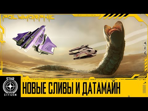 Видео: 🚀STAR CITIZEN: НОВЫЕ СЛИВЫ И ДАТАМАЙН