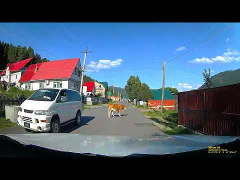 Видео: Горный Алтай. Проездом села Артыбаш и Иогач. @autotravelvadim