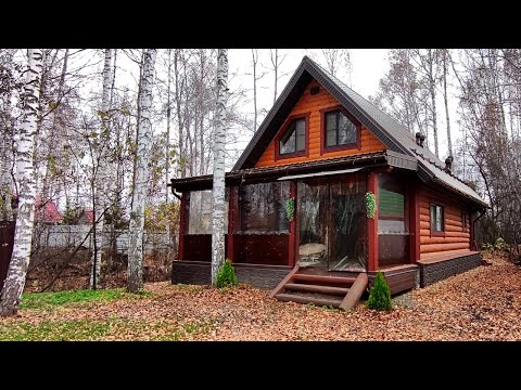 Видео: 25 октября 2025 г.