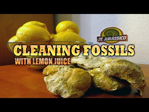 Видео: Очистка ископаемых с лимонным соком