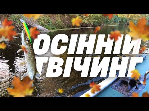 Видео: Осінній твічинг