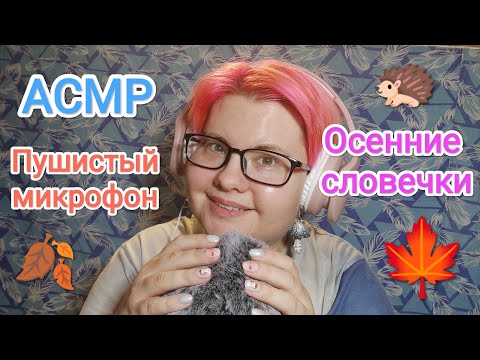 Видео: АСМР Приятные осенние словечки близким шепотом + глажу пушистый микрофон / Повтор мурашечных слов