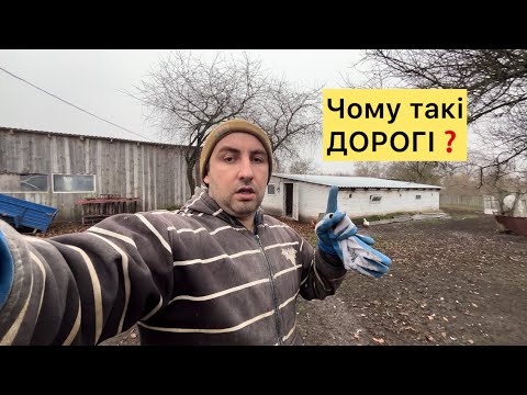 Видео: ЧОМУ ТАК ДОРОГО❓ДОРОГі ПОРОСЯТА❌ПігБіотик-Перші Результати✅