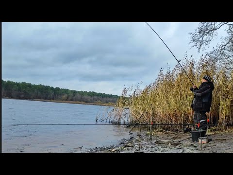 Видео: В таких местах водятся Лещи. Половил от души. Фидерная ловля леща поздней осенью на прогонах. 