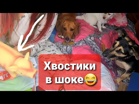 Видео: Получили вторую посылку с Москвы😱Распаковка.Немного о Кузе.