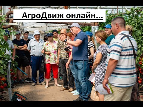 Видео: Семинар в Водяном от Сингента. Коллекция томатов в демоцентре.