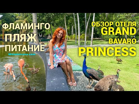 Видео: Обзор отеля Grand Bavaro Princess: фламинго, пляж, питание, номера - iDominicana.com