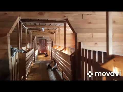 Видео: обзор козовника.