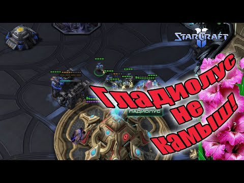 Видео: Играю чиз: Камыш