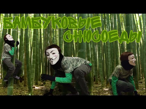 Видео: Все о Бамбуковых Снюсоедах | Энциклопедия Снюсоедов #10