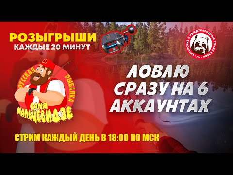 Видео: Фармлю на 6 аккаунтах одновременно. Донец - Язь. Ахтуба - усачи. Медное - карасекарп. Янтарка-трофы