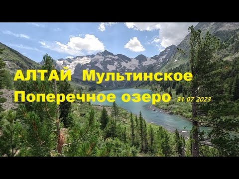 Видео: Алтай Мультинские 31 07 2023 озеро Поперечное