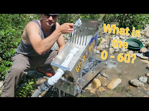 Видео: Тест и обзор поросят Gold Hog.