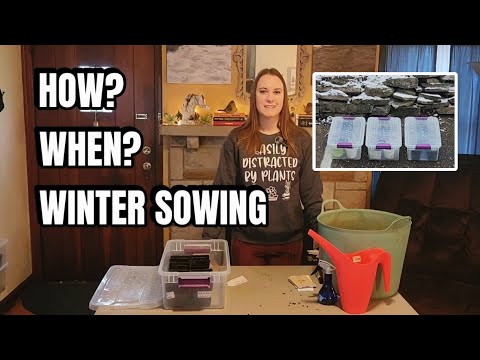 Видео: Как и когда сеять под зиму в 2024 году!