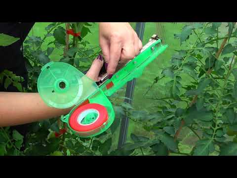 Видео: Тапенер - Степлер для растений. Инструкция. Обзор.