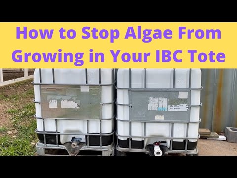 Видео: Как остановить рост водорослей в контейнере IBC