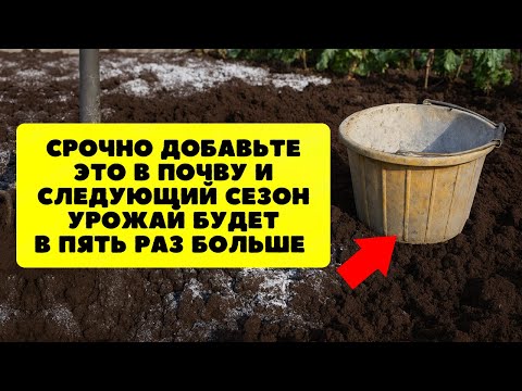 Видео: Срочно сделайте ЭТО до сильных морозов! Подготовка почвы! Садоводы