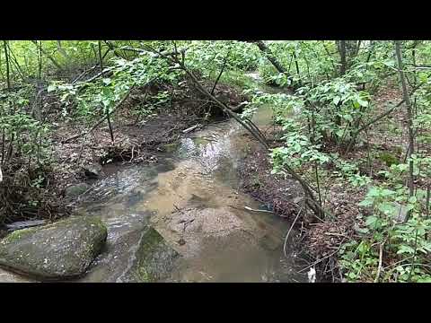 Видео: 👍 РОДНИК В КАРЬЕРЕ. 👍 ЩУЧИНСК 👍