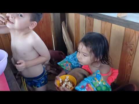 Видео: 13 октября 2023 г.