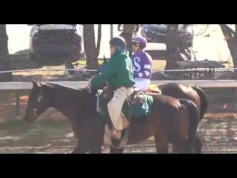 Видео: R1/ ЧЕРЧИЛЛЬ-ДАУНС | США | 12 НОЯБРЯ 2025