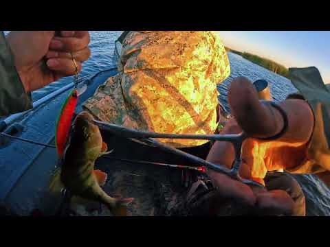 Видео: Жор щуки. Ағалармен балық аулау. Рыбалка.