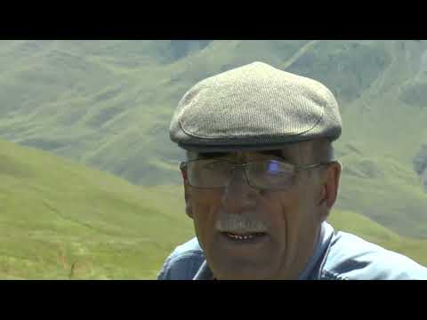 Видео: Второе путешествие в Чеберлой. 1-я часть.14.08.2022